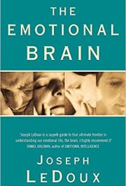 The Emotional Brain