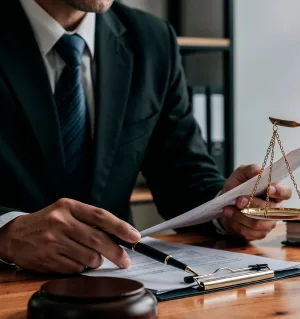 Legal Professionals